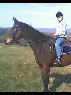 img0058a.jpg